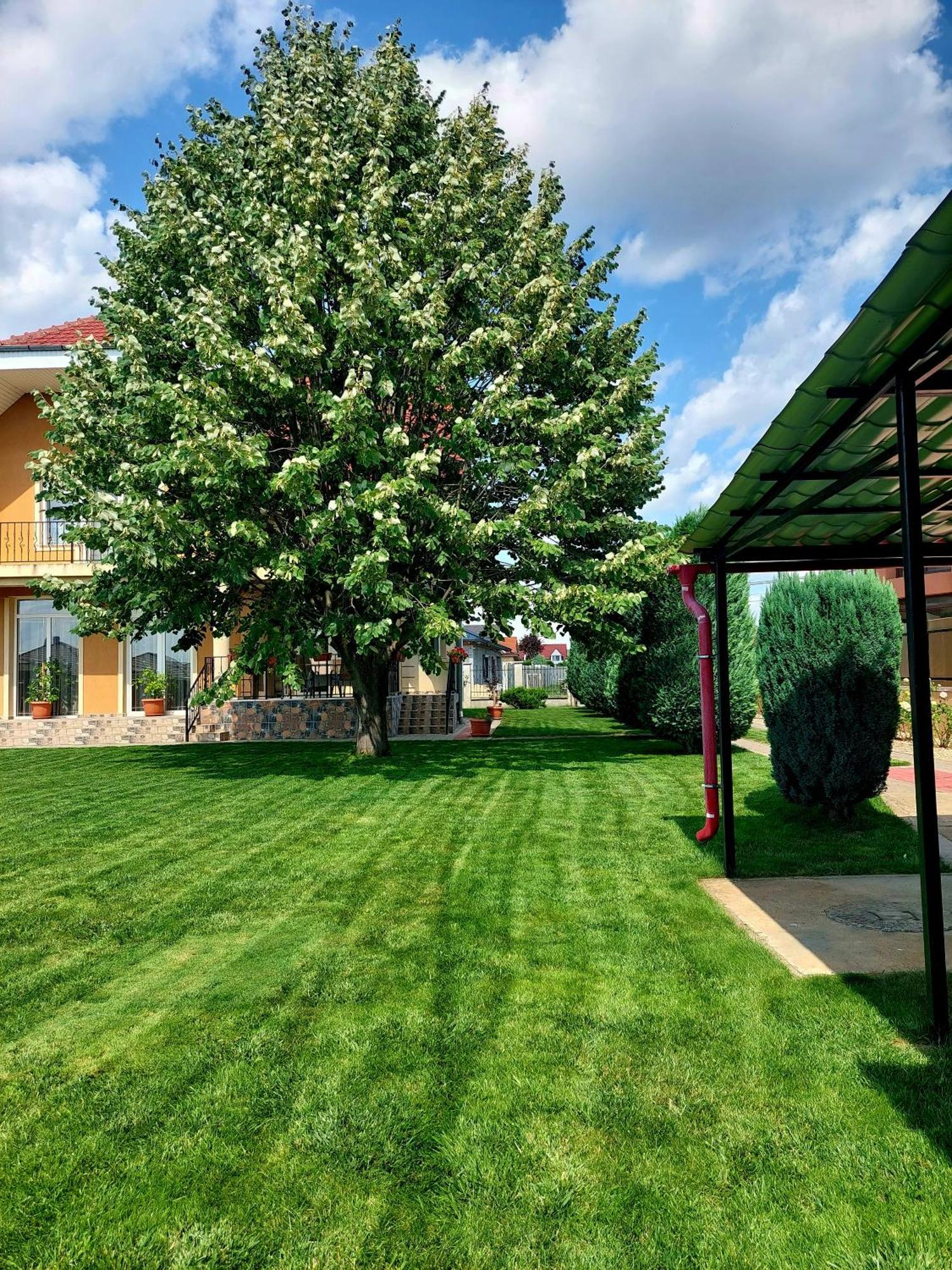 Casuta Cu Tei Villa Gran Varadino Esterno foto